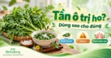 Tần ô trị ho không hợp với mọi cơn ho: Khi nào nên dùng và cần tránh?