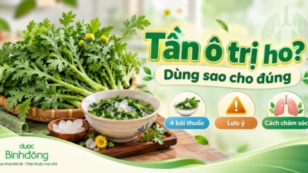 Tần ô trị ho không hợp với mọi cơn ho: Khi nào nên dùng và cần tránh?