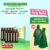 Bình Đông Thiên Môn KĐ (Hộp 10 ống x 10ml/ống)