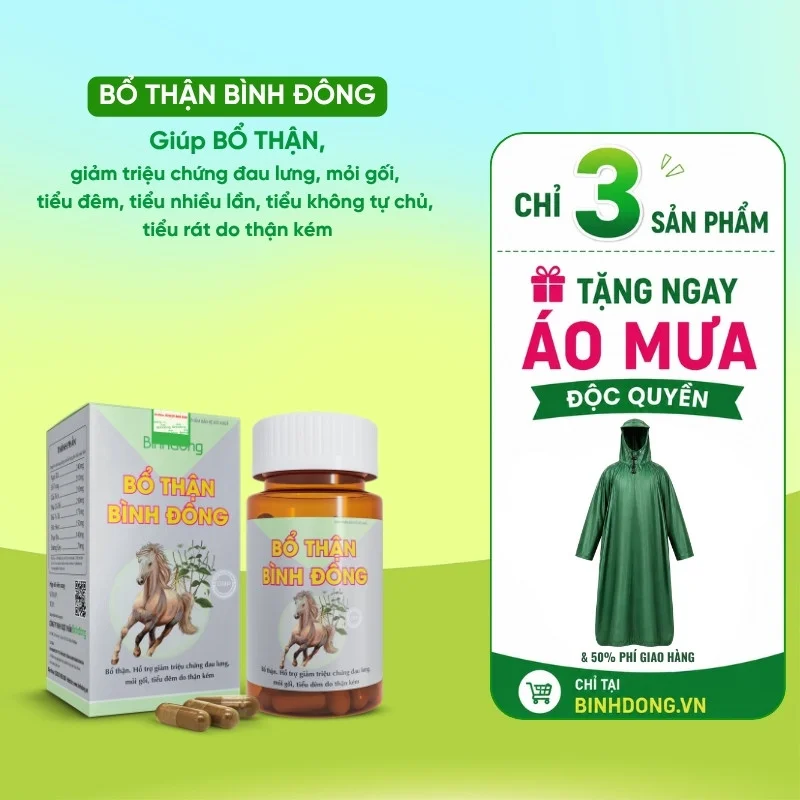 Bổ Thận Bình Đông