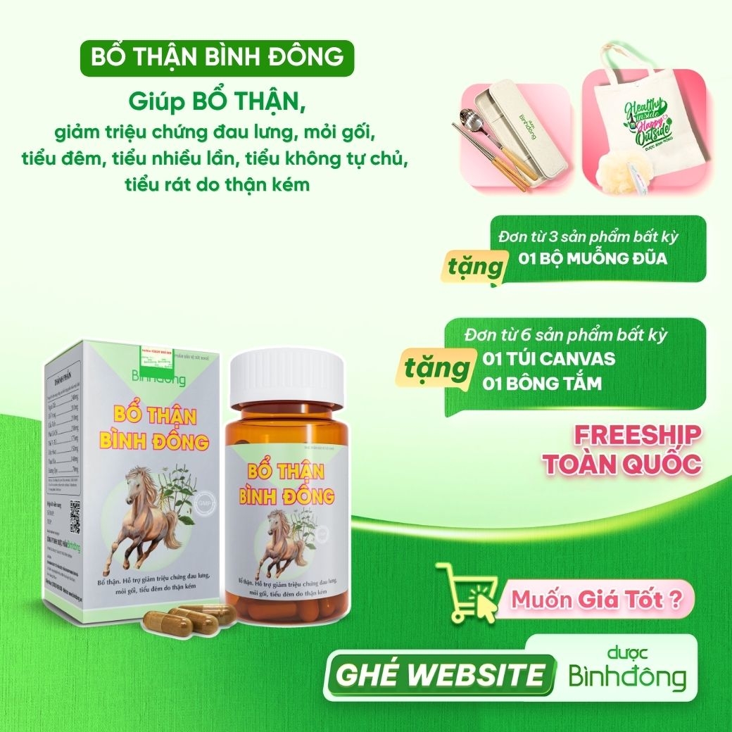 Bổ Thận Bình Đông