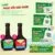 Combo Phục Hồi Sức Khỏe – Bình Đông