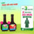 Combo Phục Hồi Sức Khỏe – Bình Đông