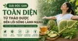 Bí quyết giải độc gan, thanh lọc cơ thể hiệu quả