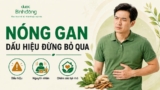 Nóng gan có nguy hiểm không? Dấu hiệu cần khám và cách giảm an toàn
