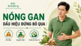 Nóng gan có nguy hiểm không? Dấu hiệu cần khám và cách giảm an toàn
