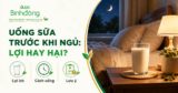 Uống sữa trước khi ngủ: Những loại sữa và Cách uống đúng