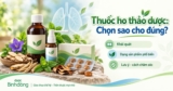 Các sản phẩm giảm ho và thuốc ho thảo dược: Khi nào nên dùng, khi nào cần đi khám?