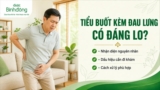 Tiểu buốt đau lưng có nguy hiểm không? Nguyên nhân và Cách chữa trị