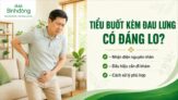 Tiểu buốt đau lưng có nguy hiểm không? Nguyên nhân và Cách chữa trị