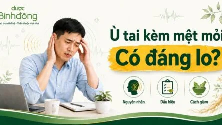 Ù tai mệt mỏi: Nguyên nhân, dấu hiệu nguy hiểm và cách giảm