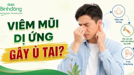 Viêm mũi dị ứng ù tai: Vì sao xảy ra, khi nào cần khám, cách cải thiện