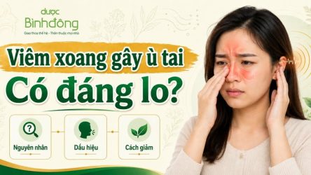Viêm xoang ù tai: Vì sao xảy ra, khi nào cần đi khám?